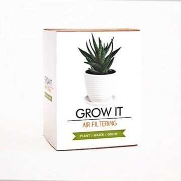 Grow it - květina pro lepší vzduch