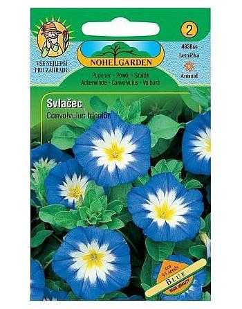 Svlačec trojbarevný pnoucí, modrý, 55 semen