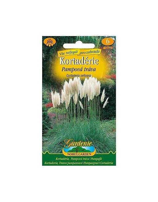 Cortaderie - Pampová tráva, bílá, 200 semen