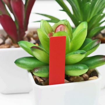 Popisovací štítky k rostlinám - červená